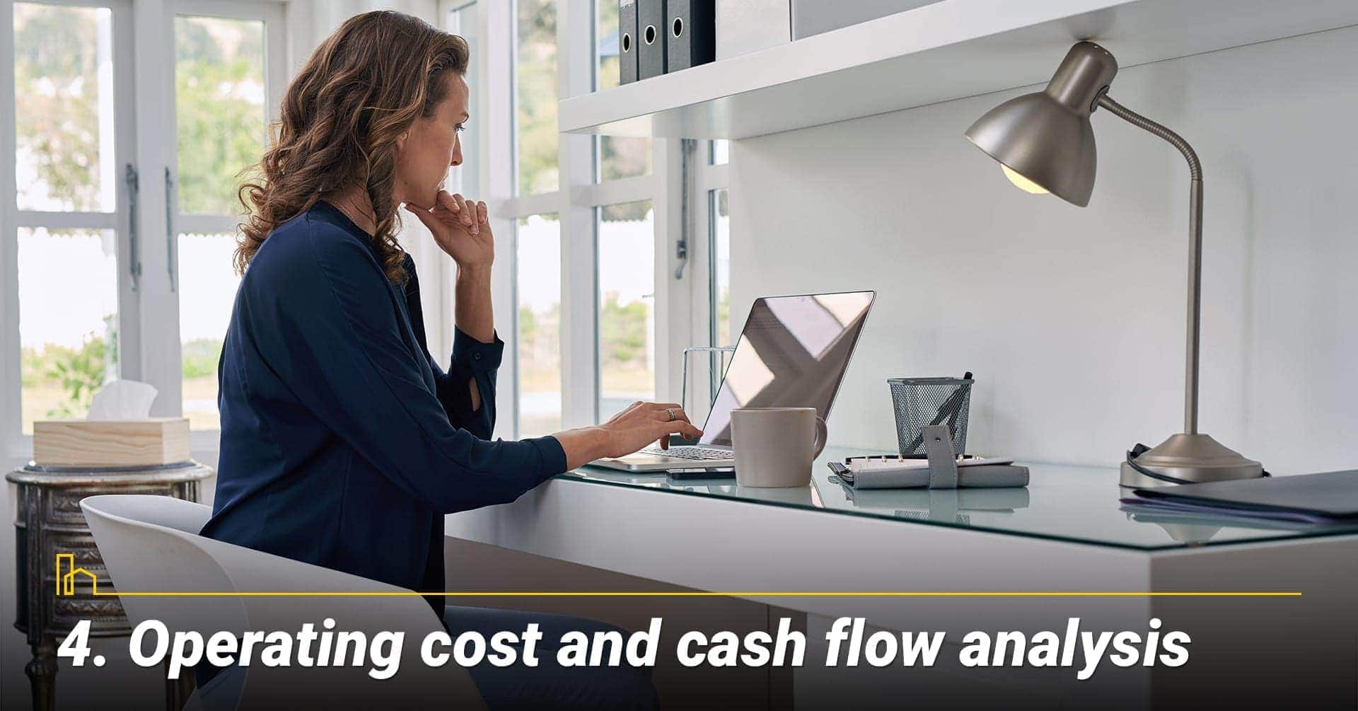 Operating cost and cash flow analysis, conduct your own analysis Operating cost and cash flow analysis, conduct your own analysis