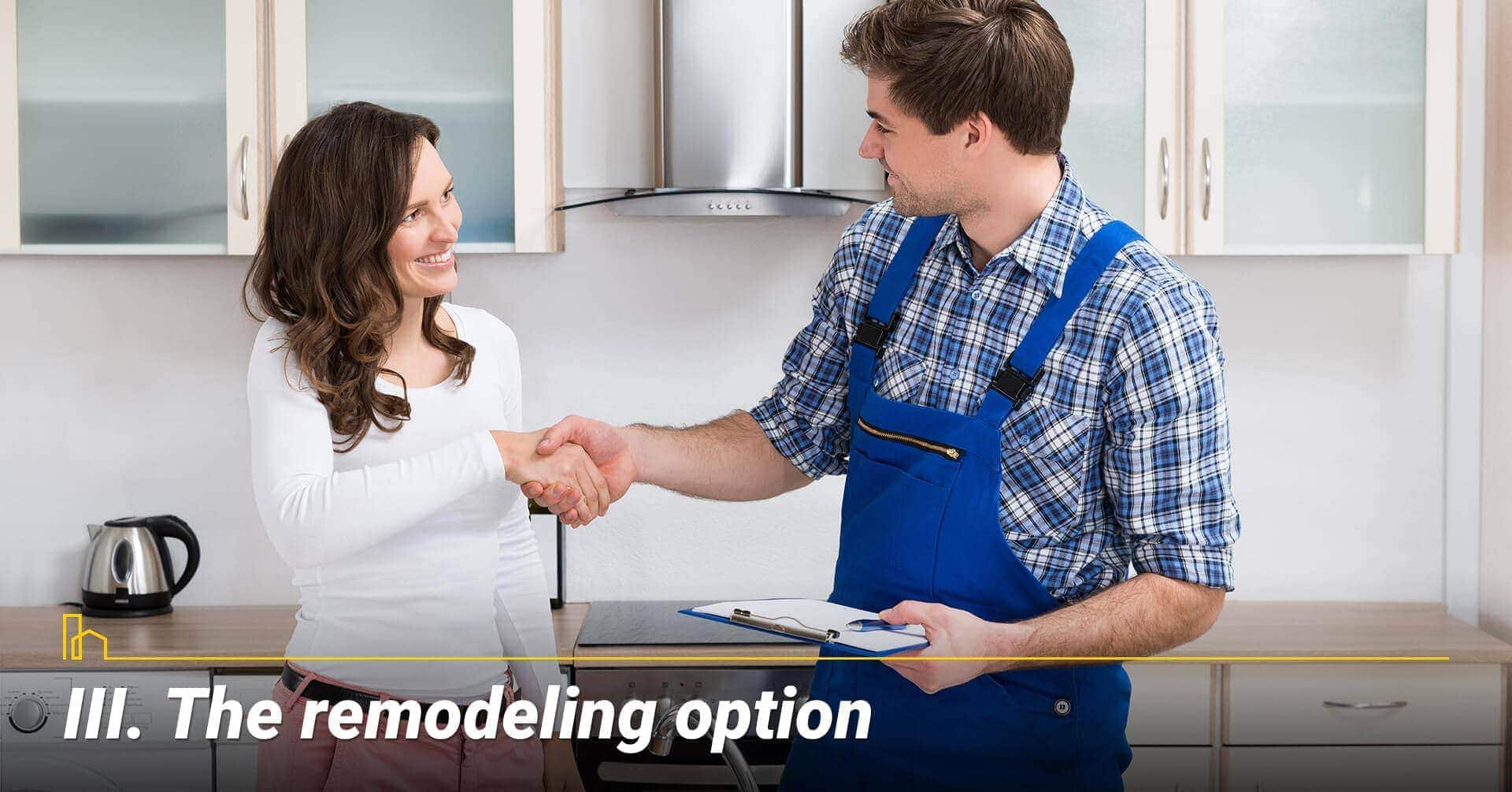 The remodeling option, planning to remodel your home The remodeling option, planning to remodel your home
