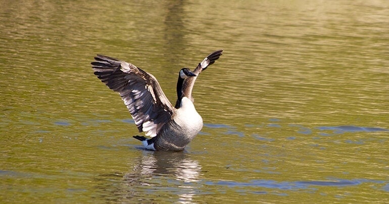 Distinct seasons and natural beauty in Rochester, MN