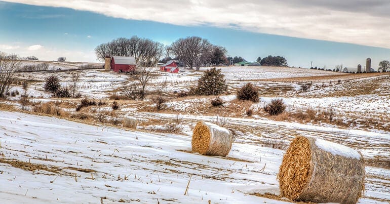 Pros and cons for living in Rochester, MN