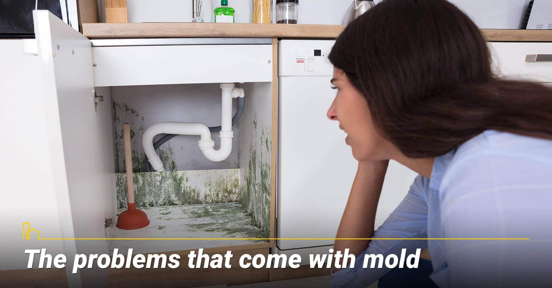 The problems that come with mold, mold can lead to other problems