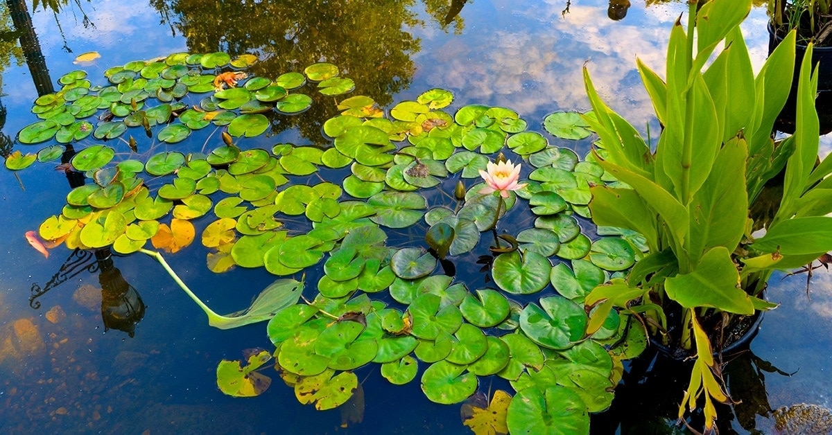 Mankato, MN offers four seasons of nature’s beauty