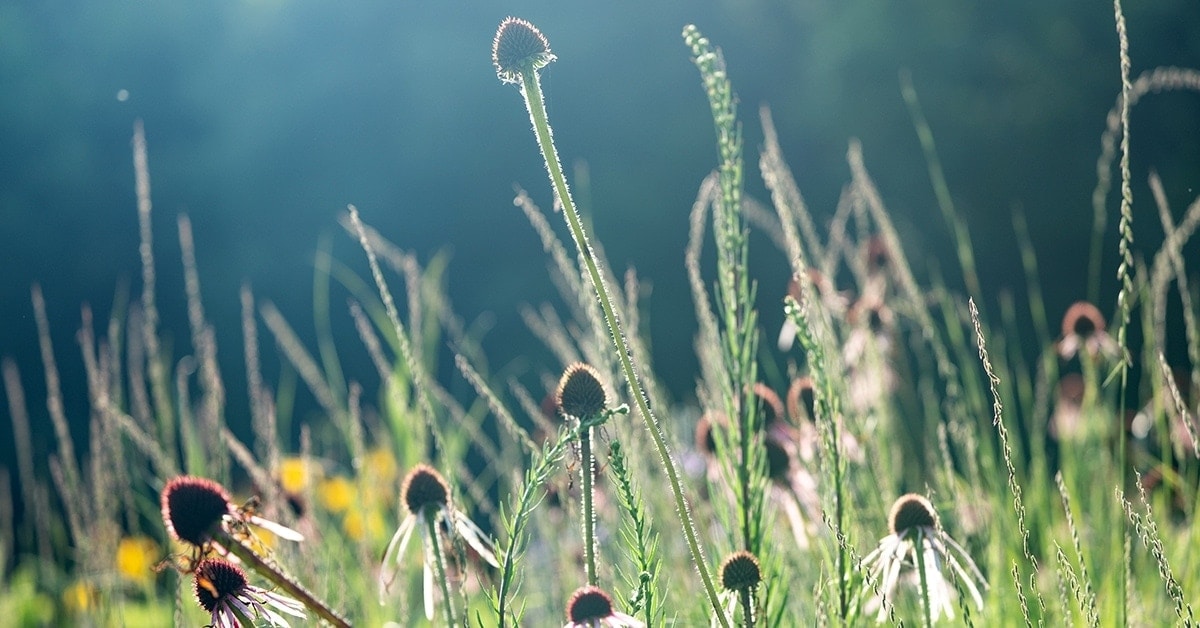 High-quality healthcare in Mankato, MN