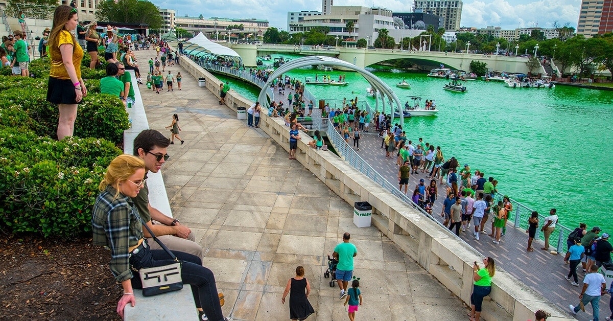 Tampa is a city of diversity, history and culture in Florida