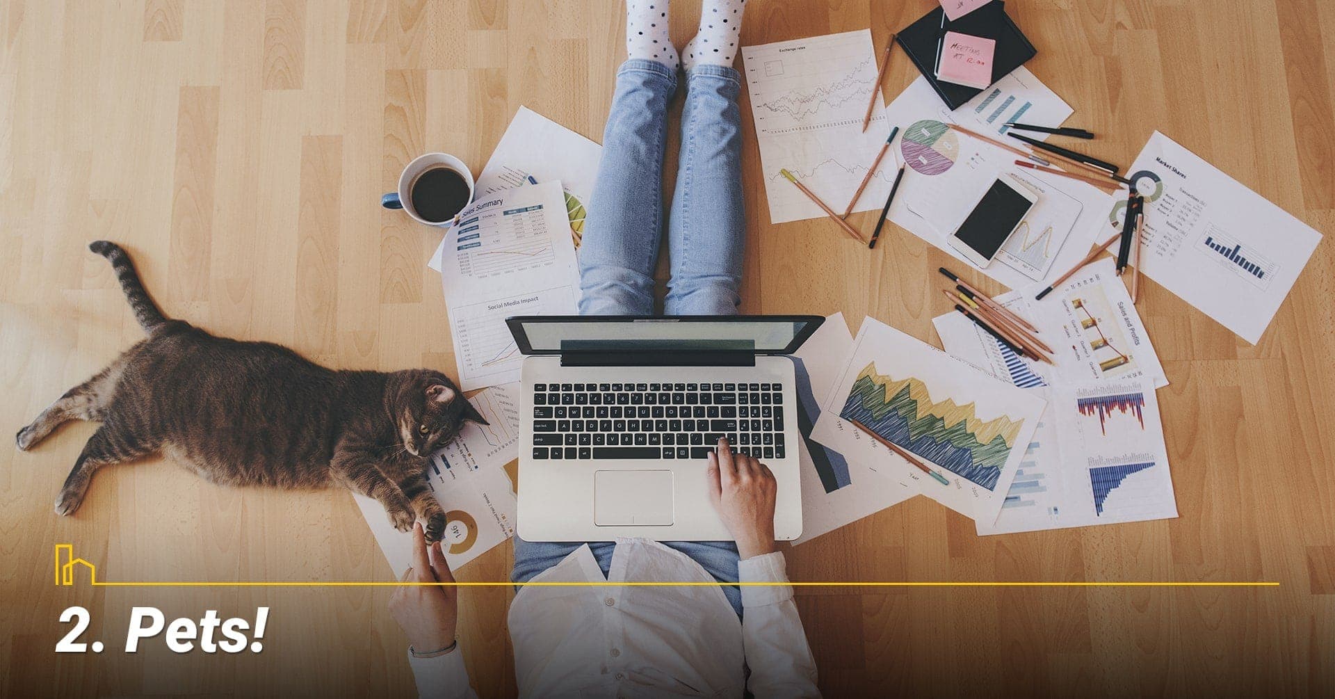 Pets!, attend to your pet friends Pets!, attend to your pet friends