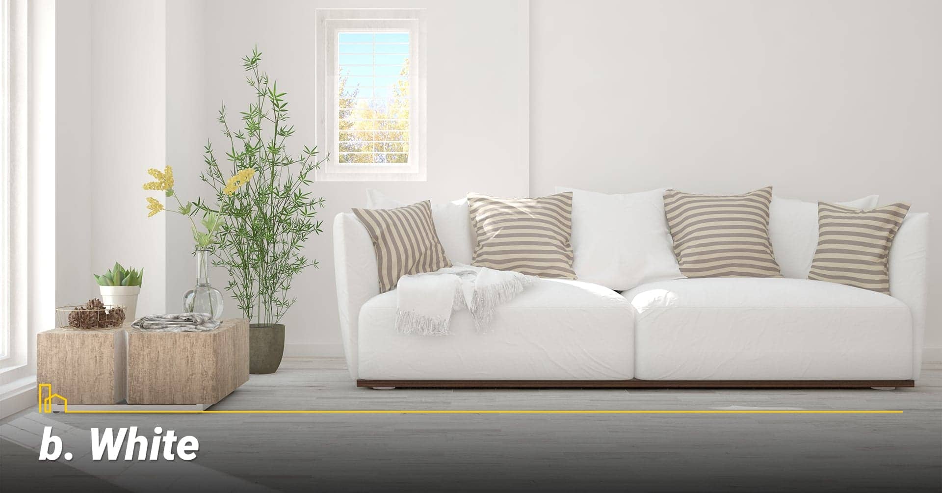 White, common color White, common color