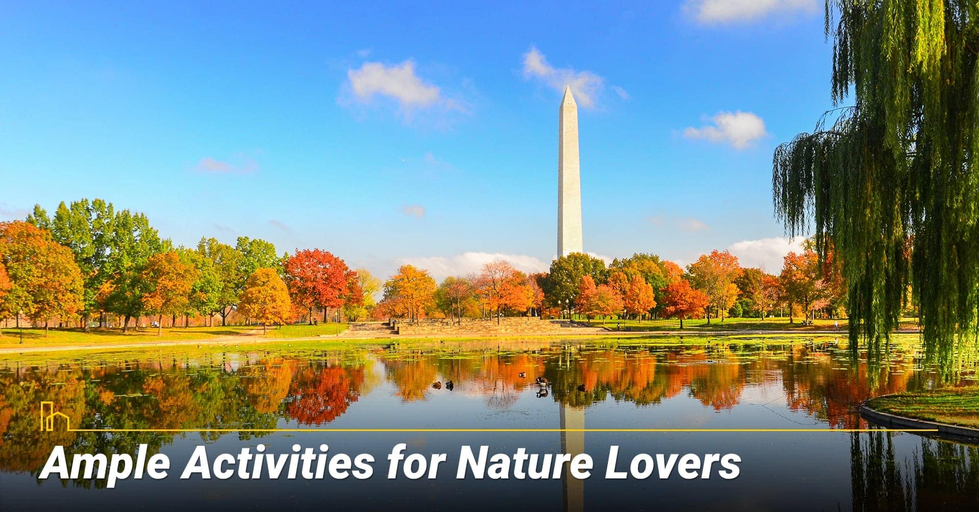 Ample Activities for Nature Lovers in Washington, DC Ample Activities for Nature Lovers in Washington, DC