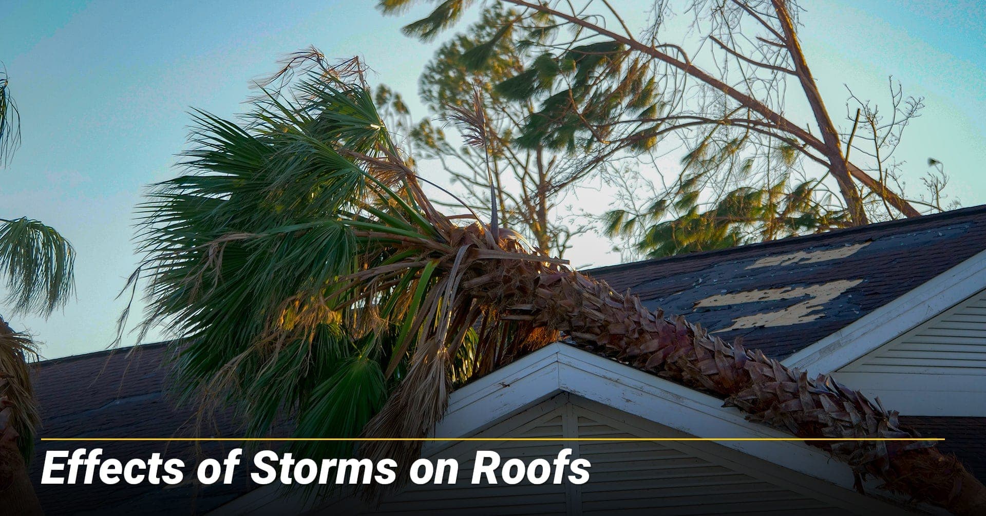 Effects of Storms on Roofs, storm can cause damage to your roof Effects of Storms on Roofs, storm can cause damage to your roof