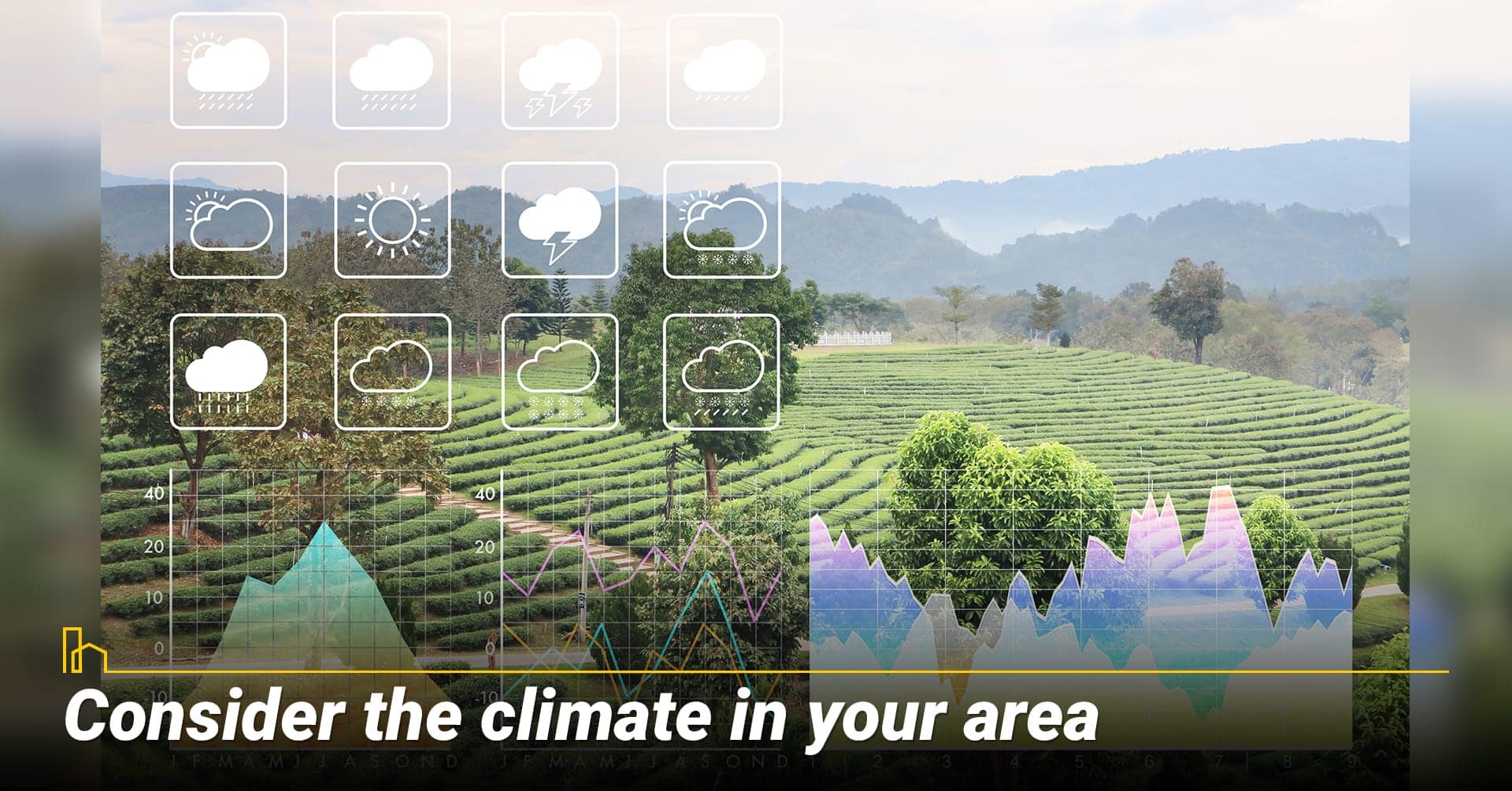 Consider the climate in your area, aware of local weather