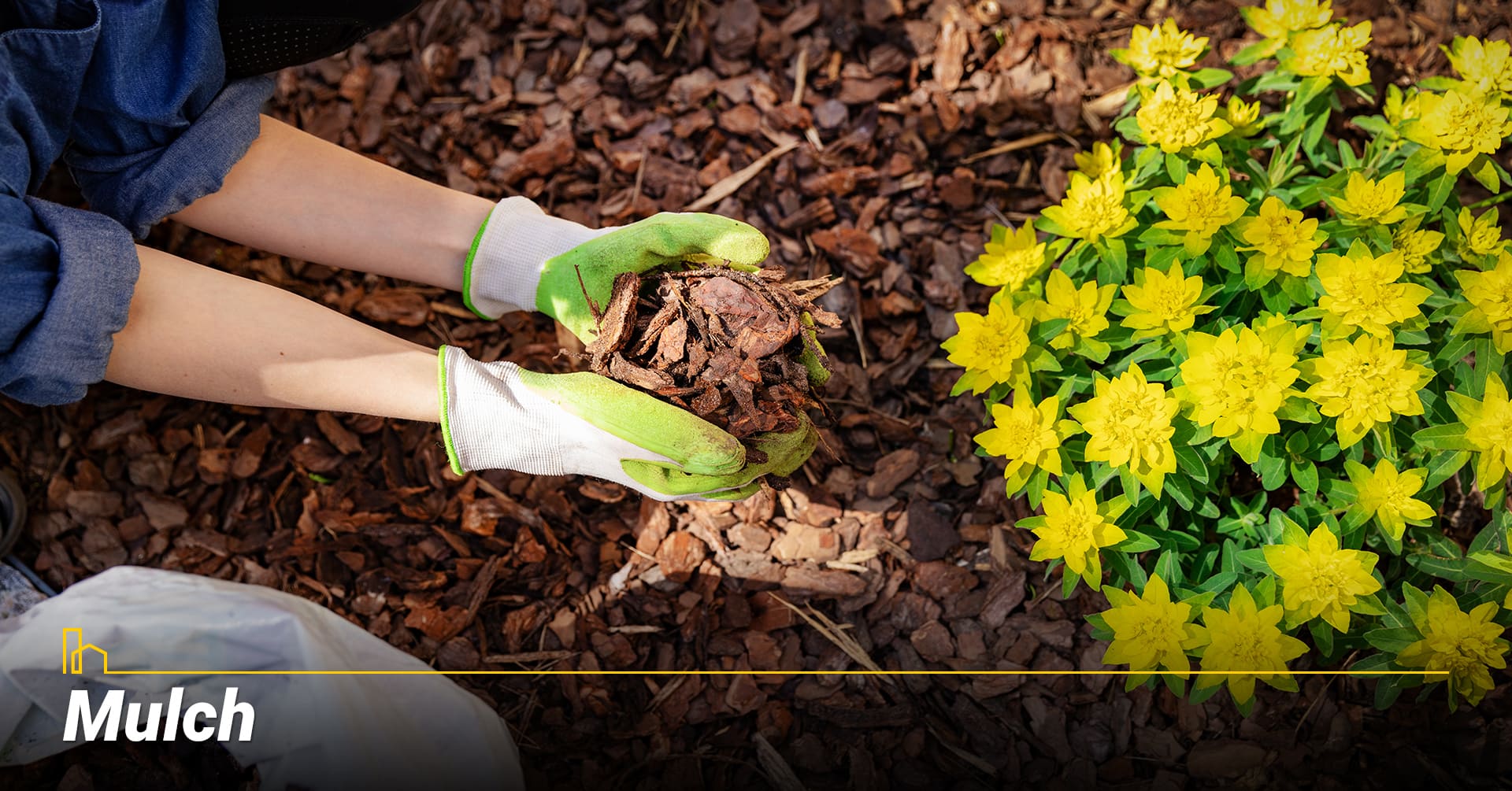 Mulch, cover your garden bad with mulch