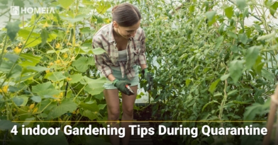 4 indoor Gardening Tips During Quarantine