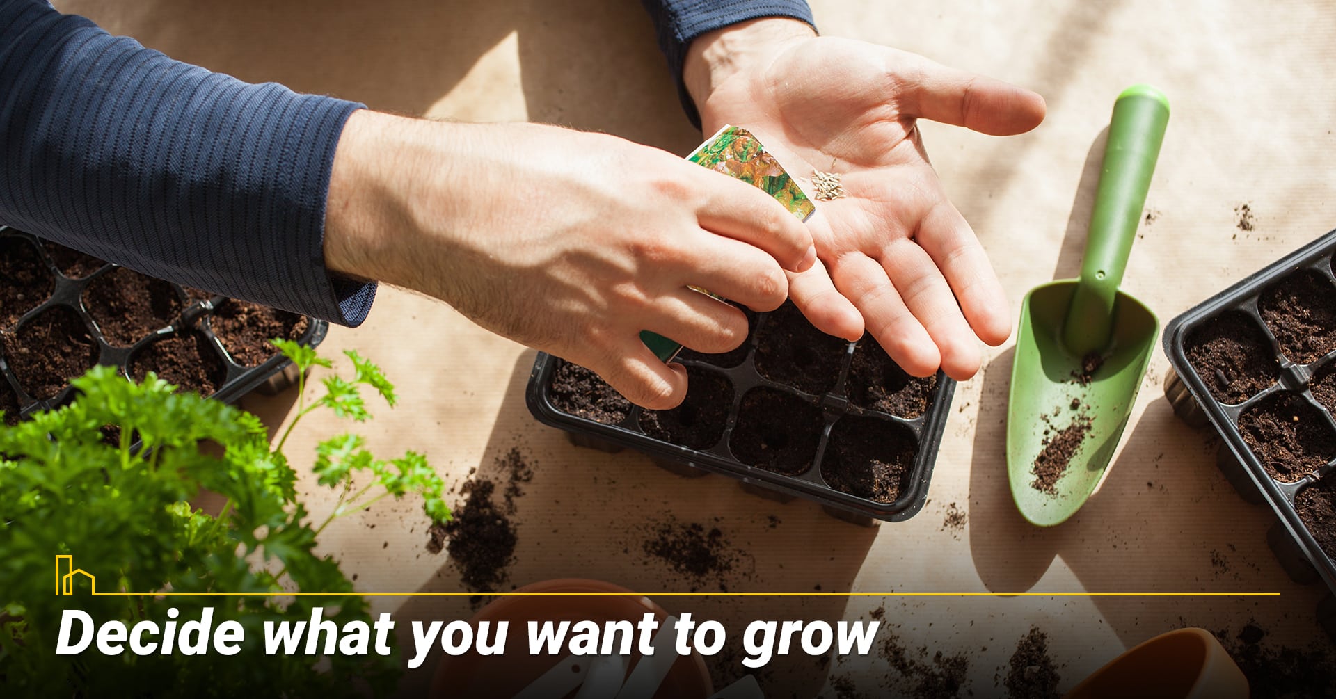 Decide what you want to grow