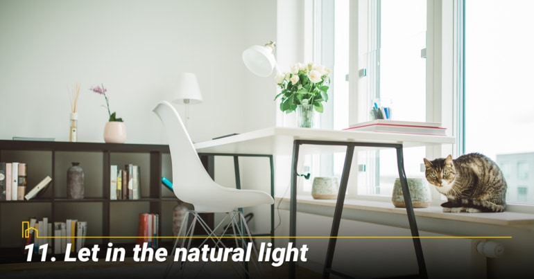 Let in the natural light