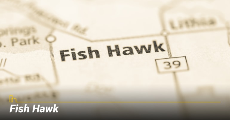 Fish Hawk