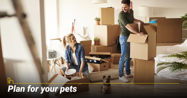 Plan for your pets Plan for your pets