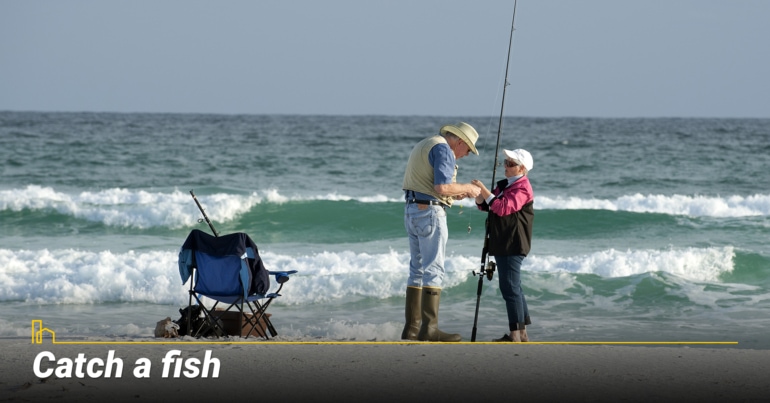 Catch a fish