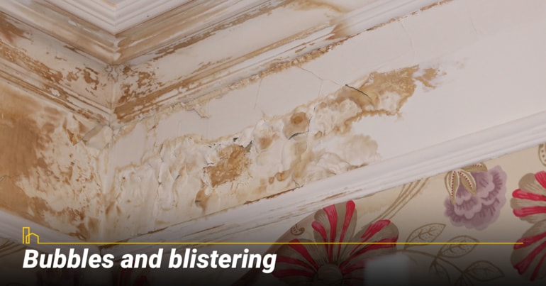 Bubbles and blistering