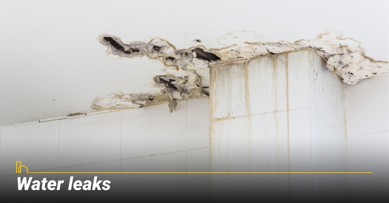 Water leaks