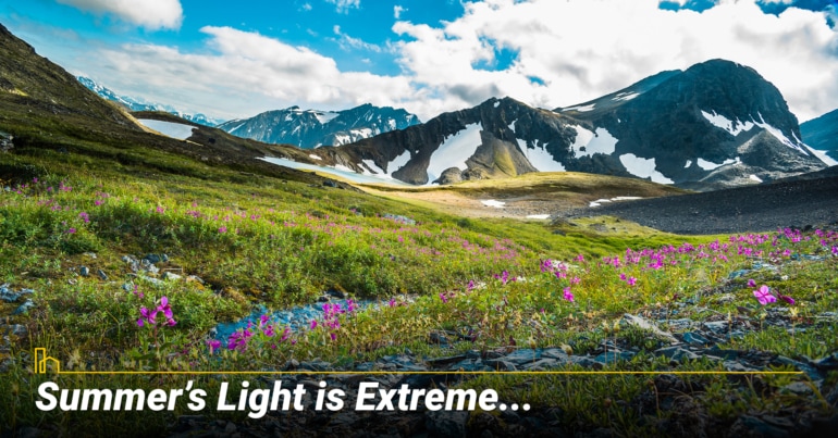 Summer’s Light is Extreme...