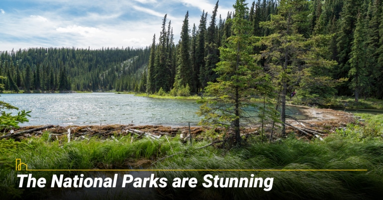 The National Parks are Stunning