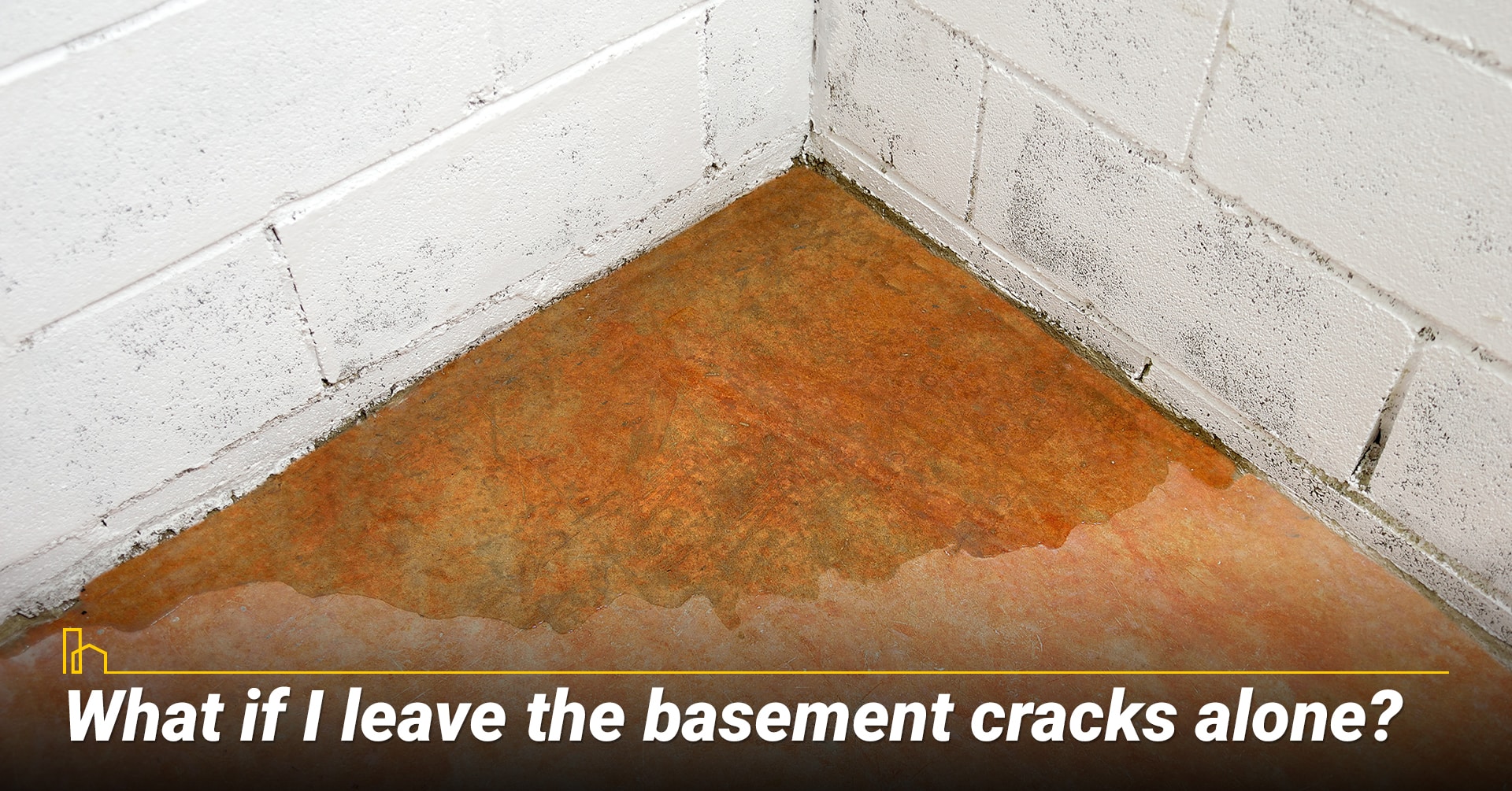 What if I leave the basement cracks alone? What if I leave the basement cracks alone?
