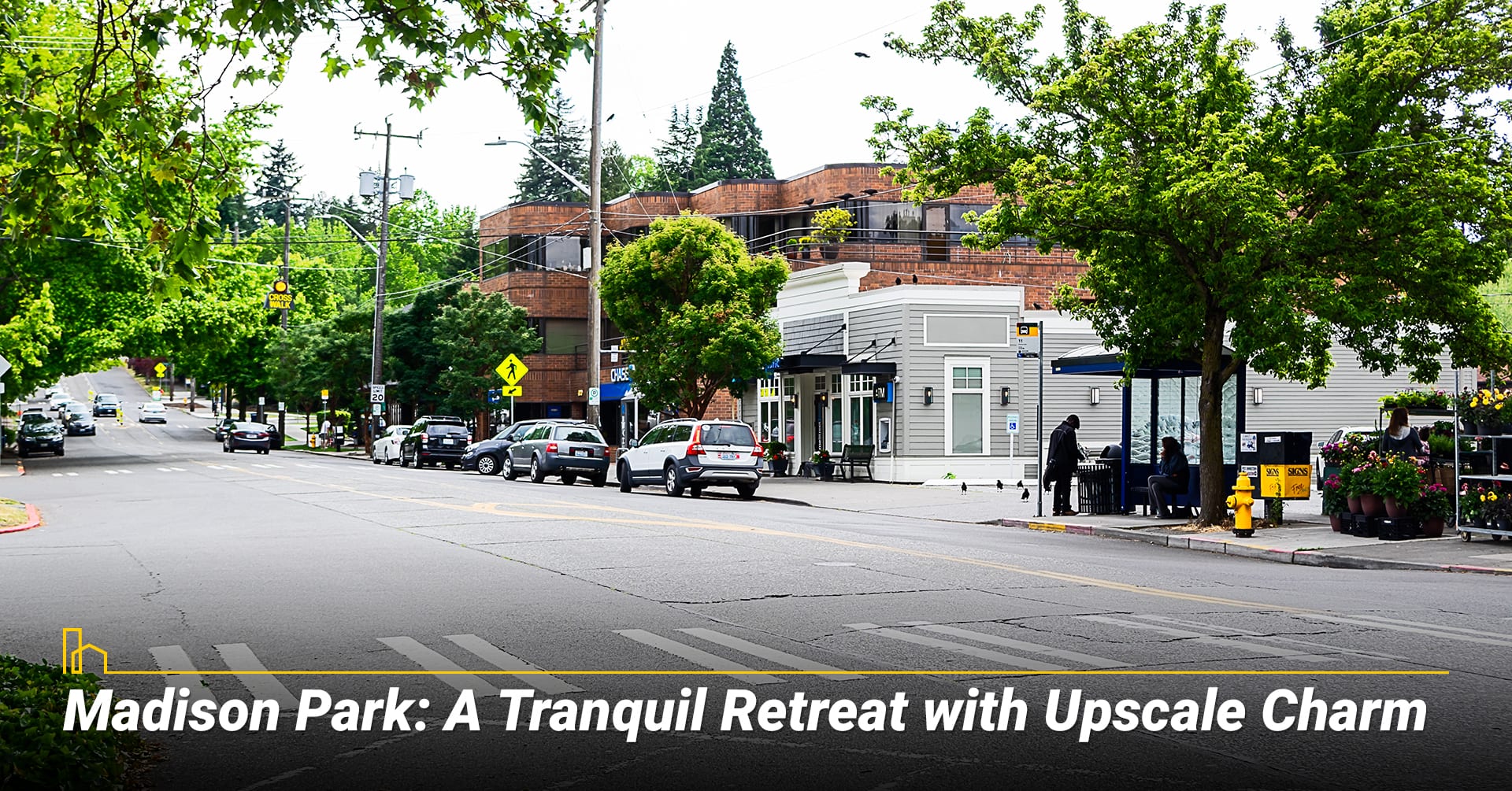 Madison Park: A Tranquil Retreat with Upscale Charm