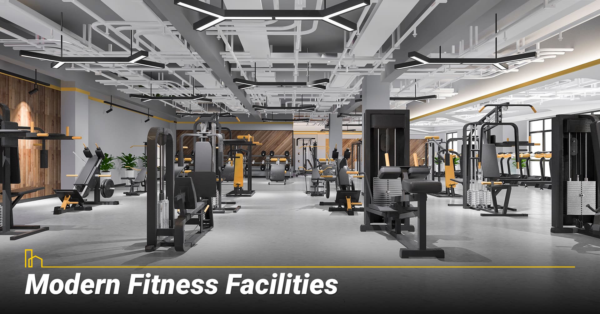 Modern Fitness Facilities modern fitness facilities img