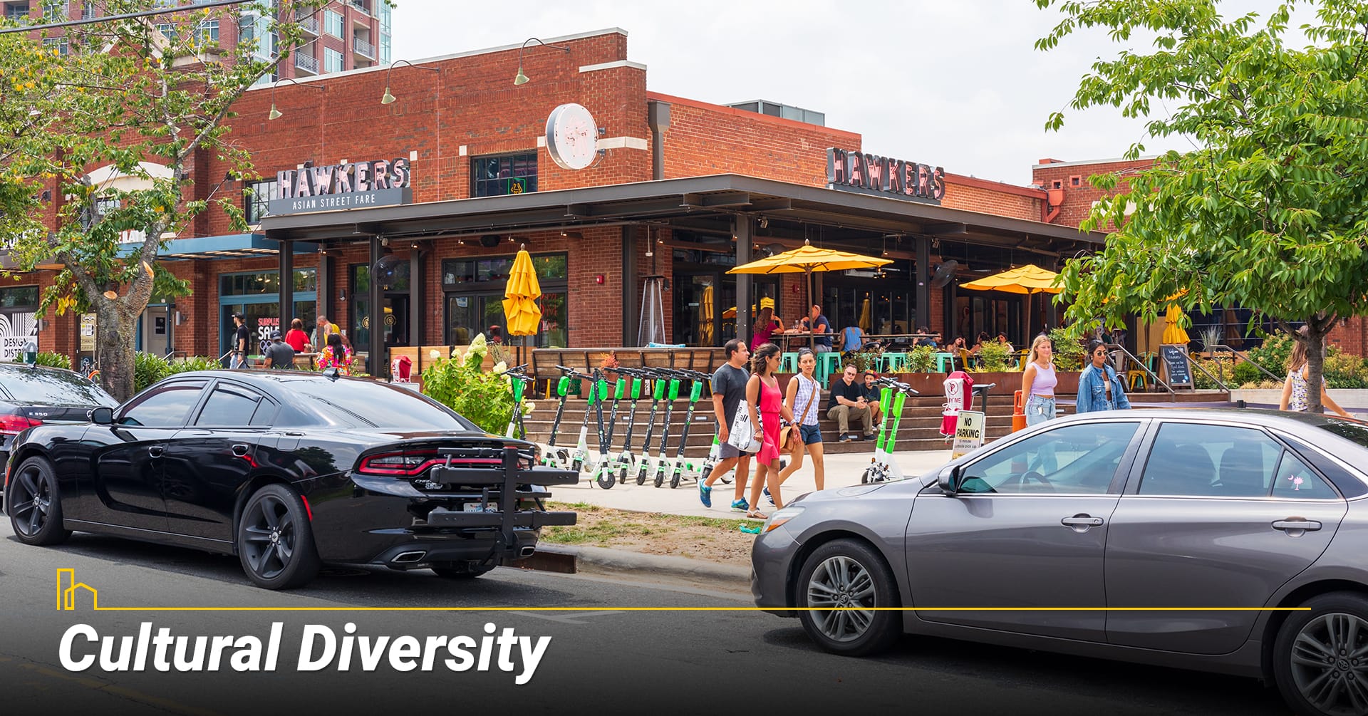 Cultural Diversity Cultural Diversity