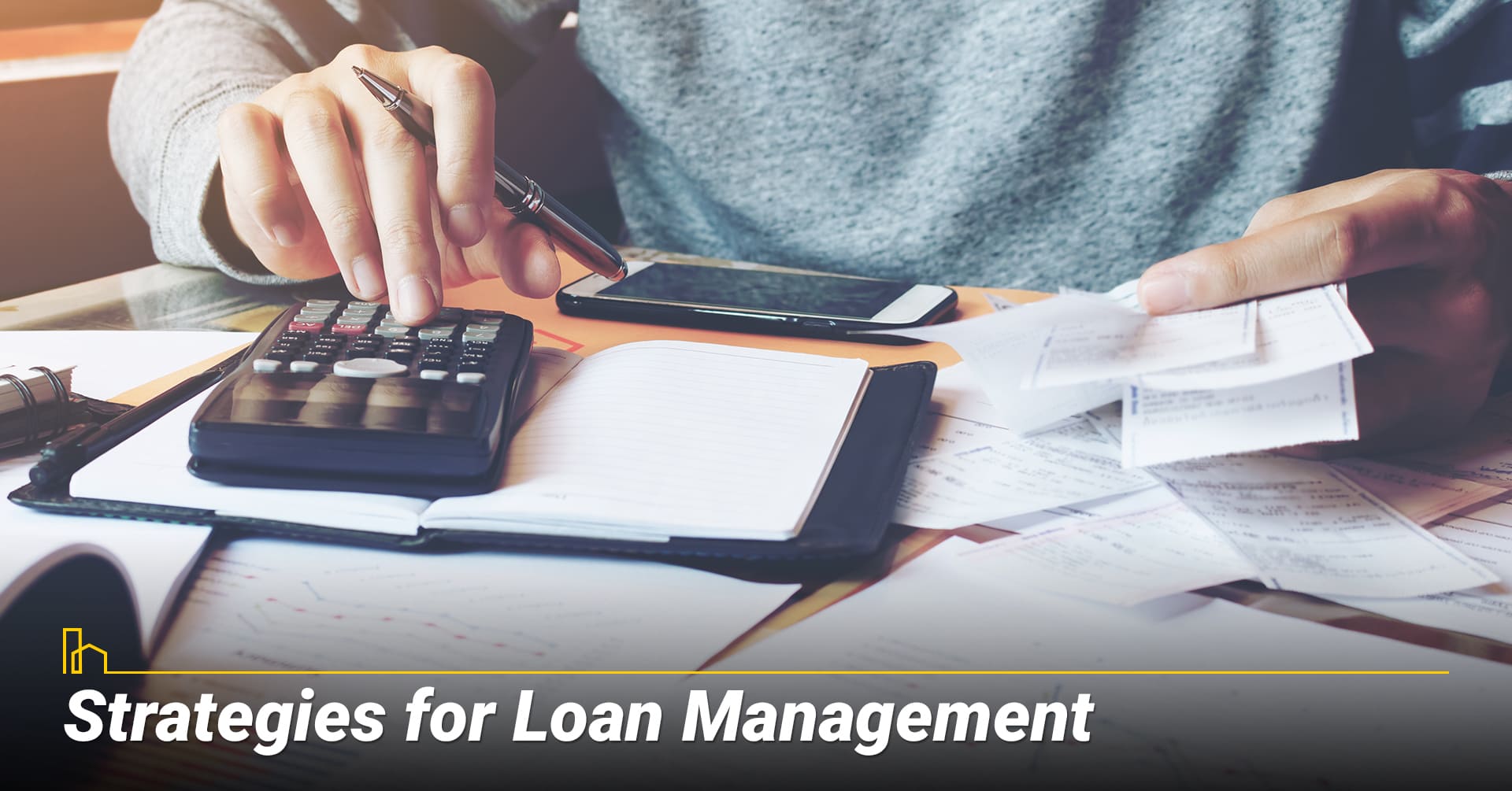 Strategies for Loan Management
