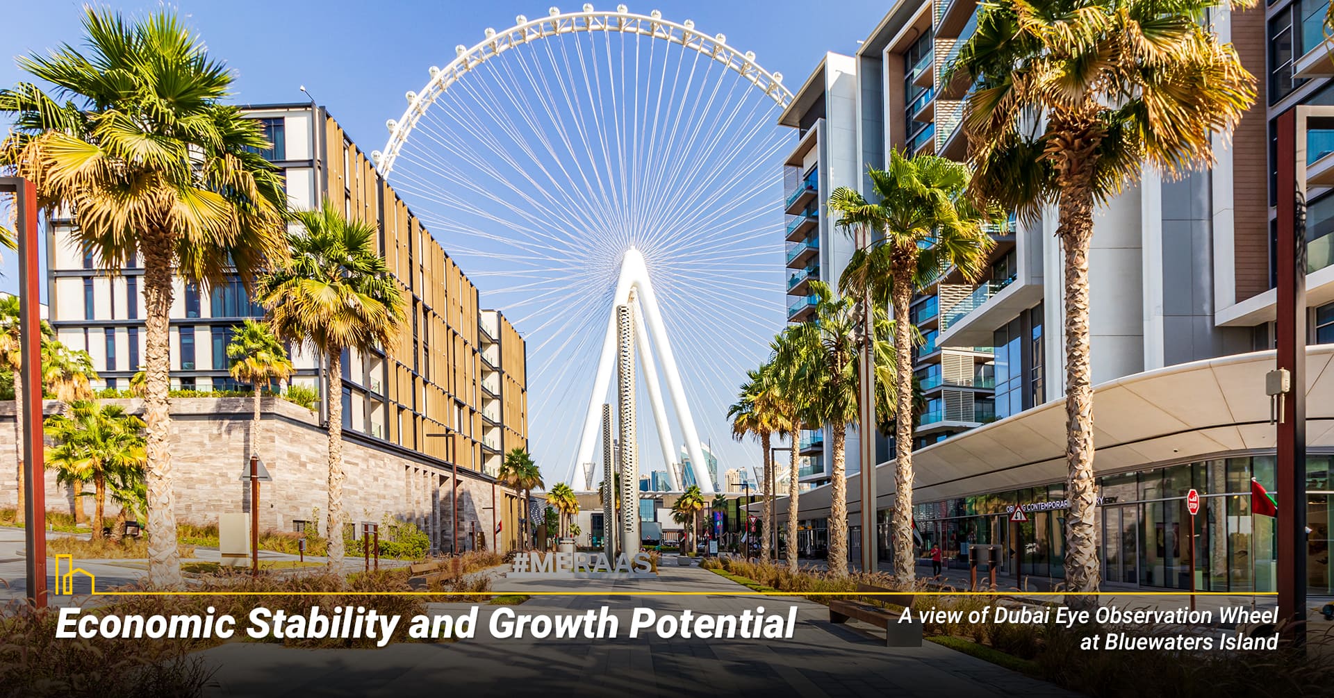 Economic Stability and Growth Potential