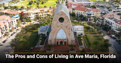 The Pros and Cons of Living in Ave Maria, Florida (updated)