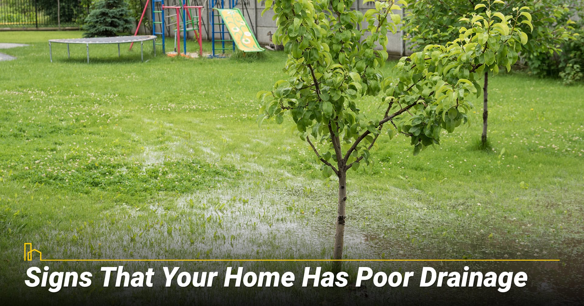 Signs That Your Home Has Poor Drainage