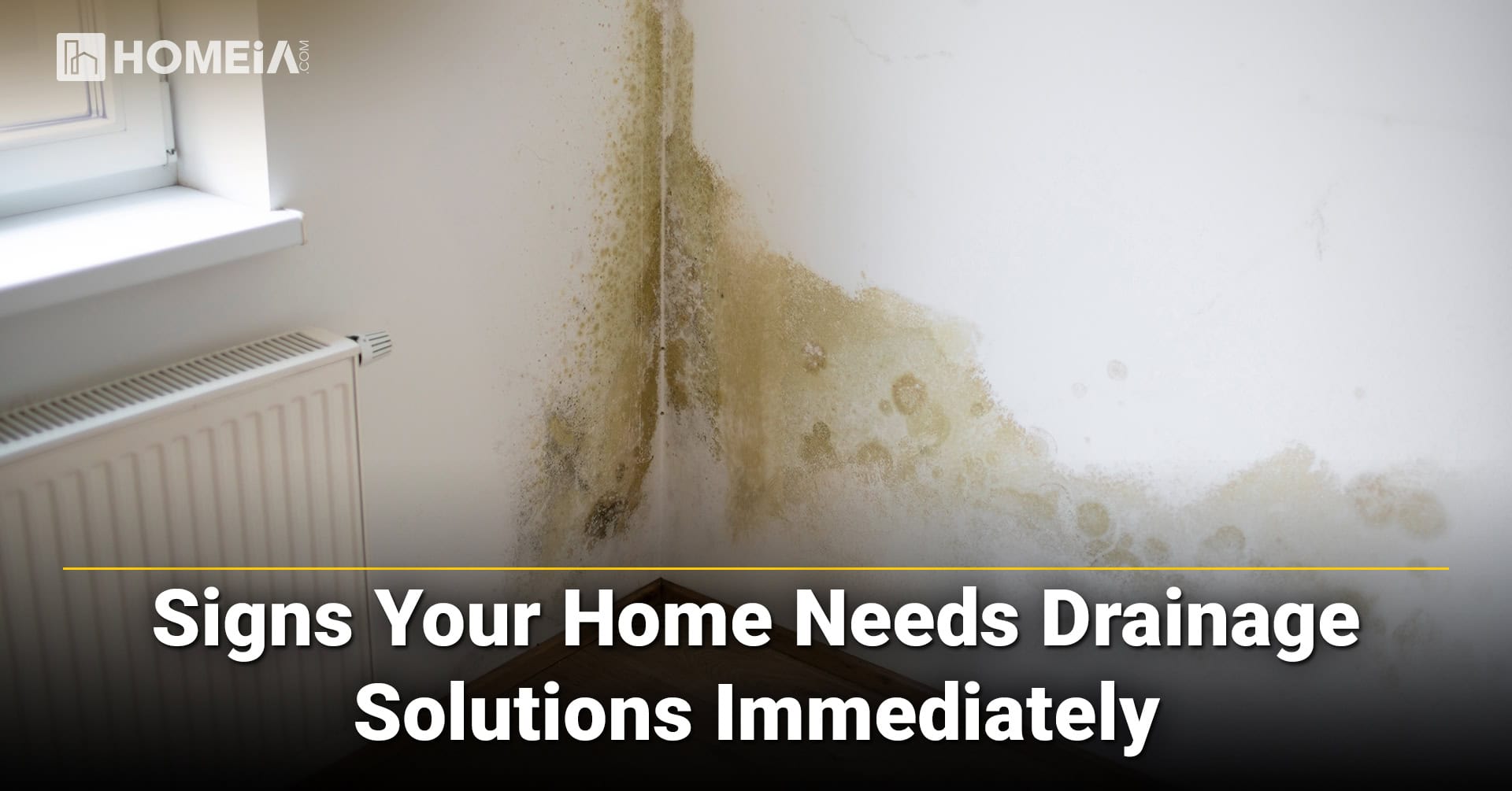 Signs Your Home Needs Drainage Solutions Immediately