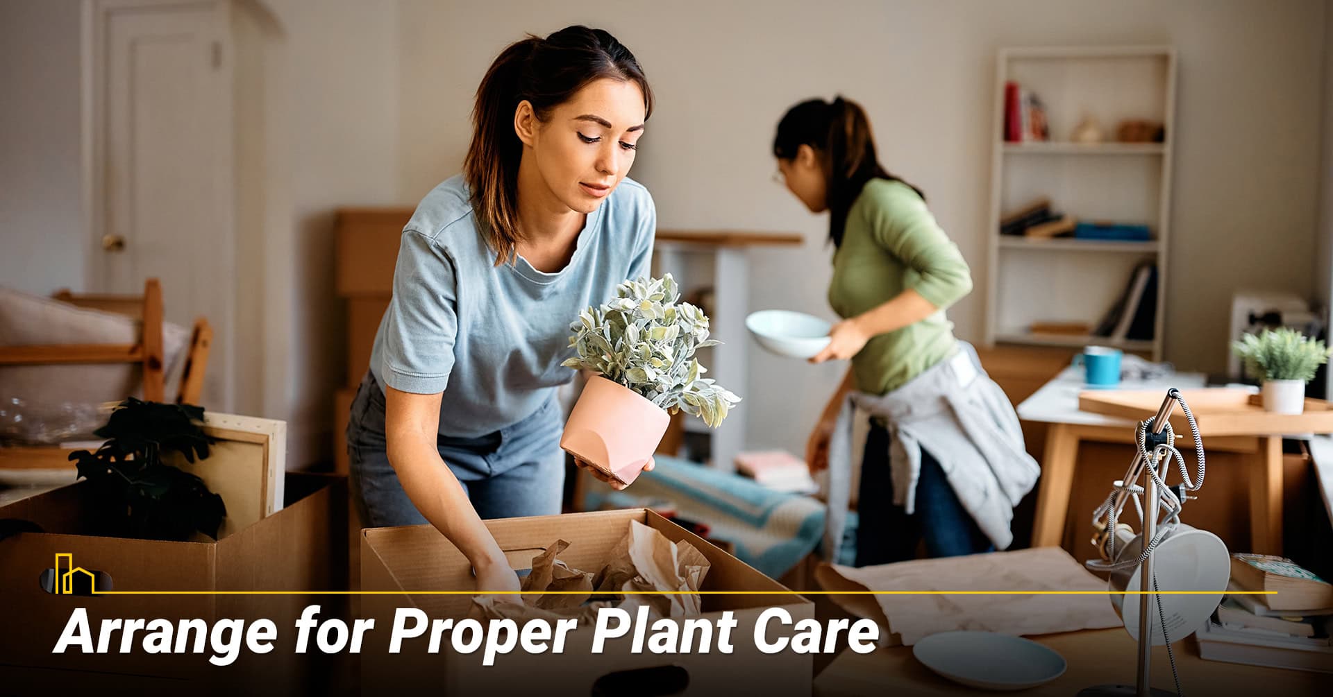 Arrange for Proper Plant Care