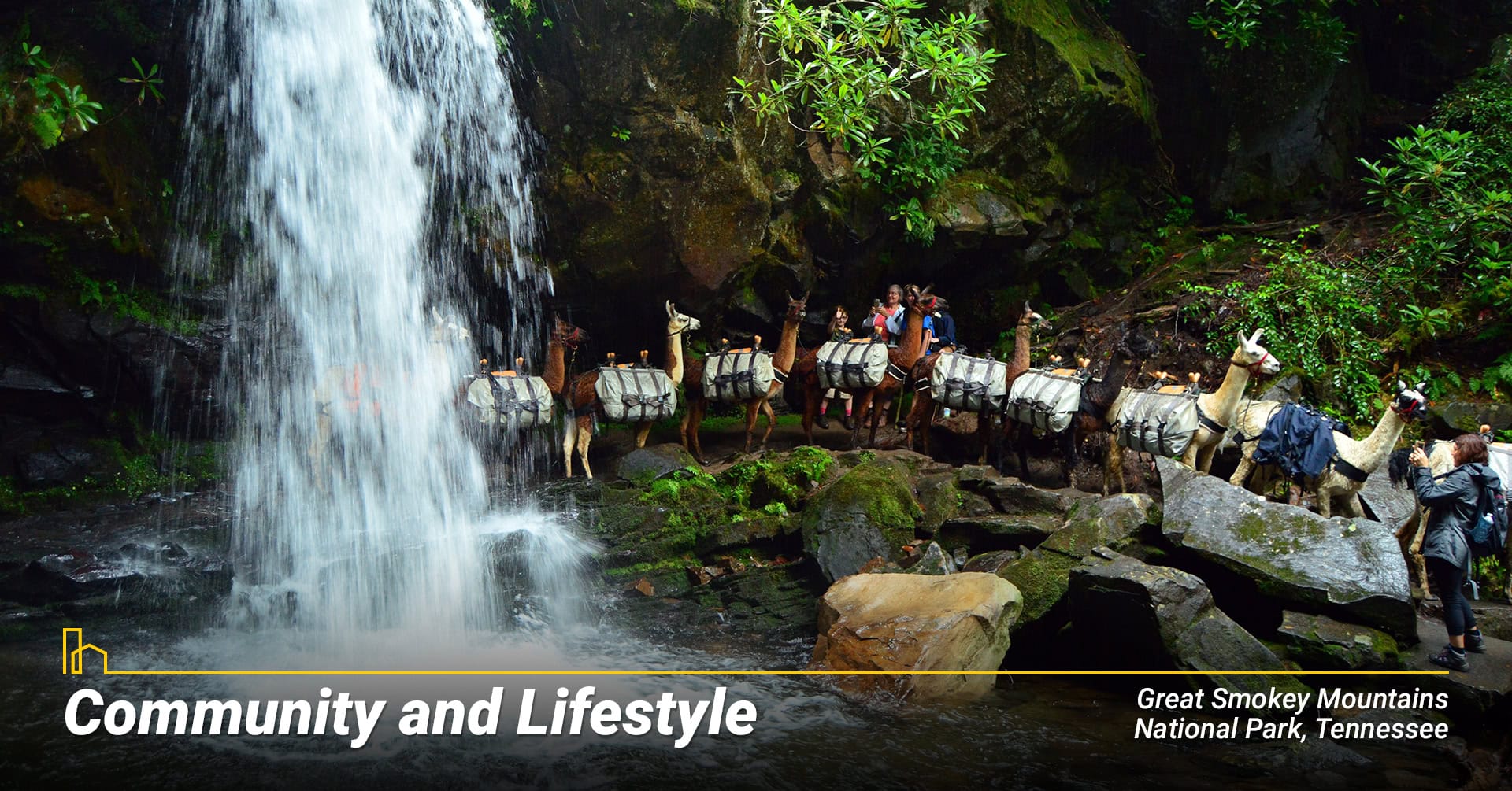 Community and Lifestyle in TN