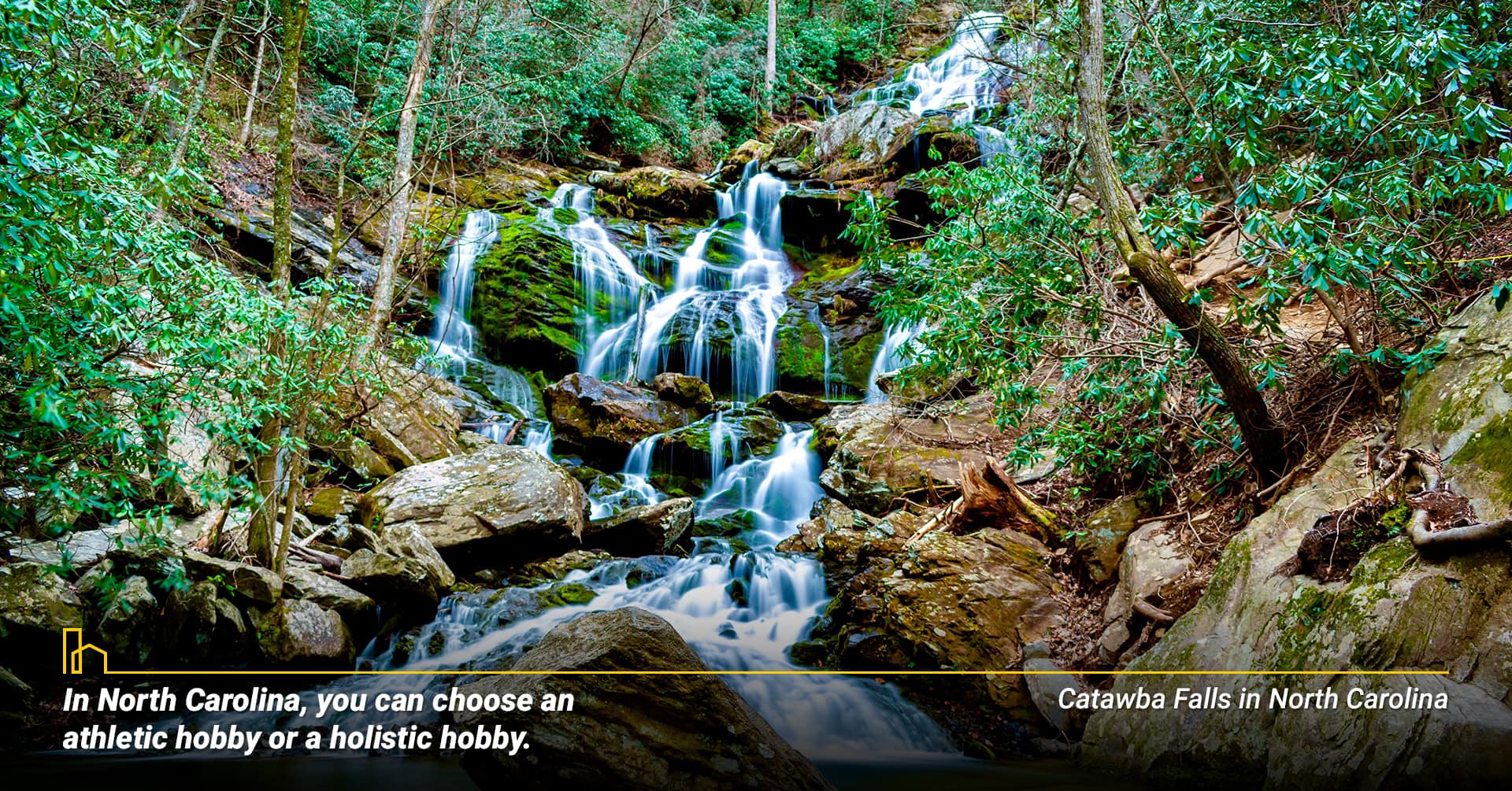 In North Carolina you can choose an athletic hobby or a holistic hobby