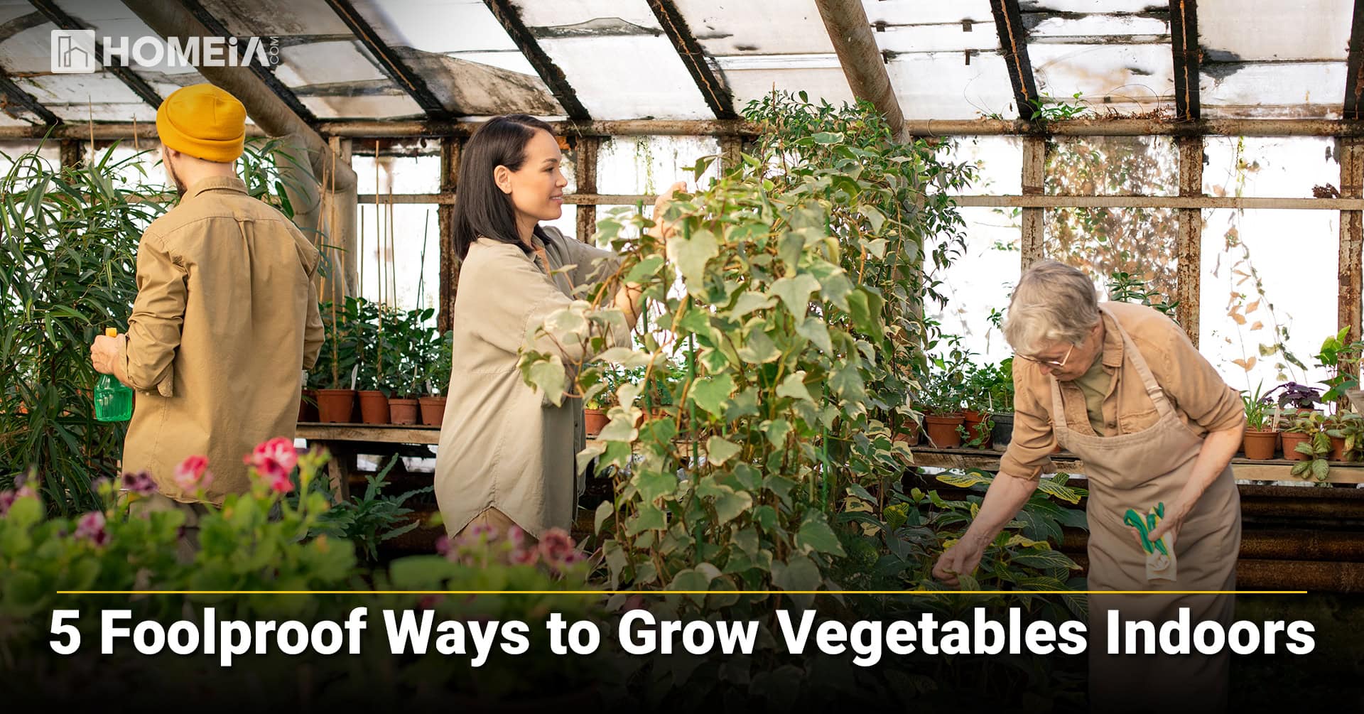 5 Foolproof Ways to Grow Vegetables Indoors