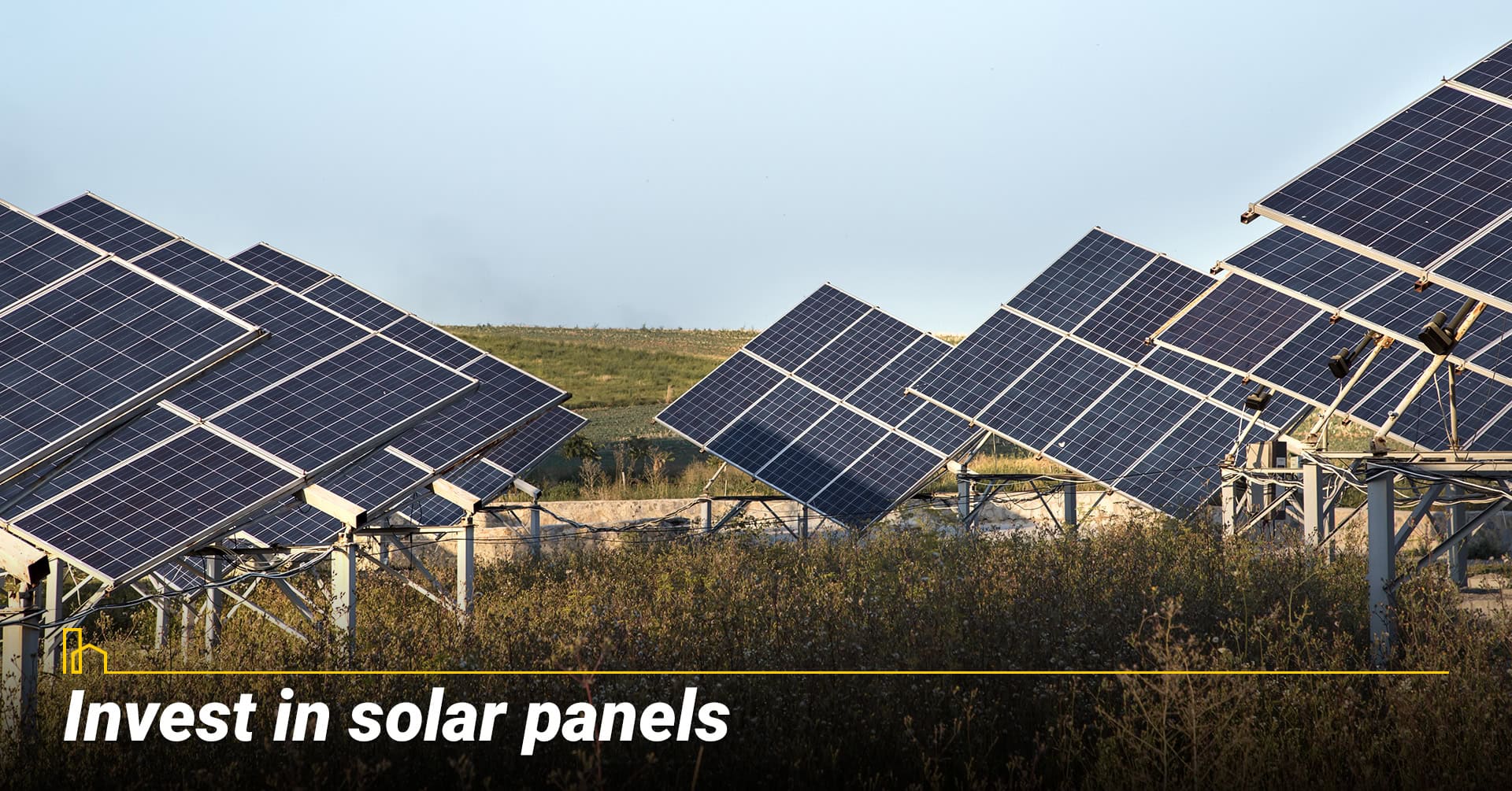 Invest in solar panels