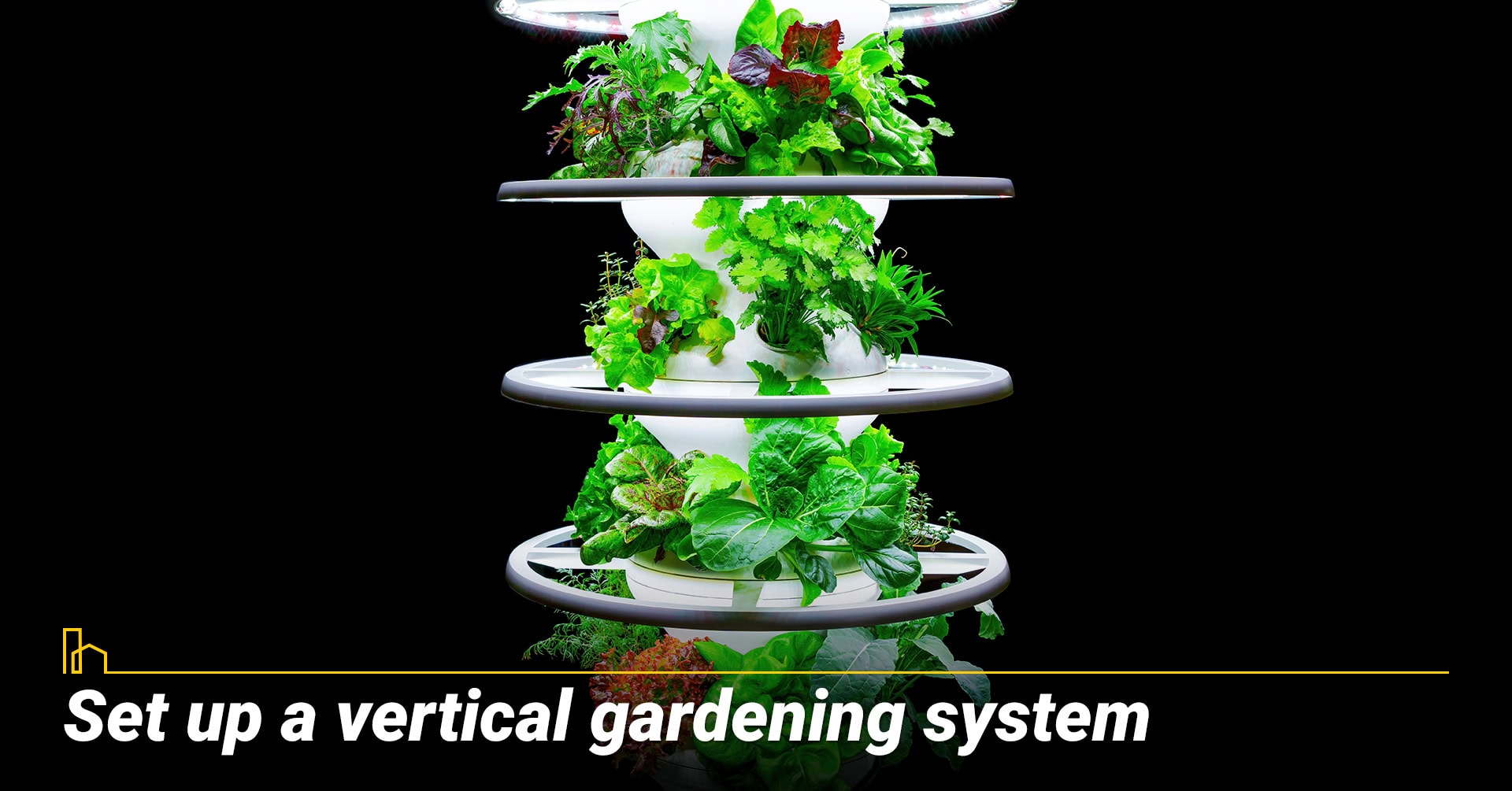Set up a vertical gardening system 1