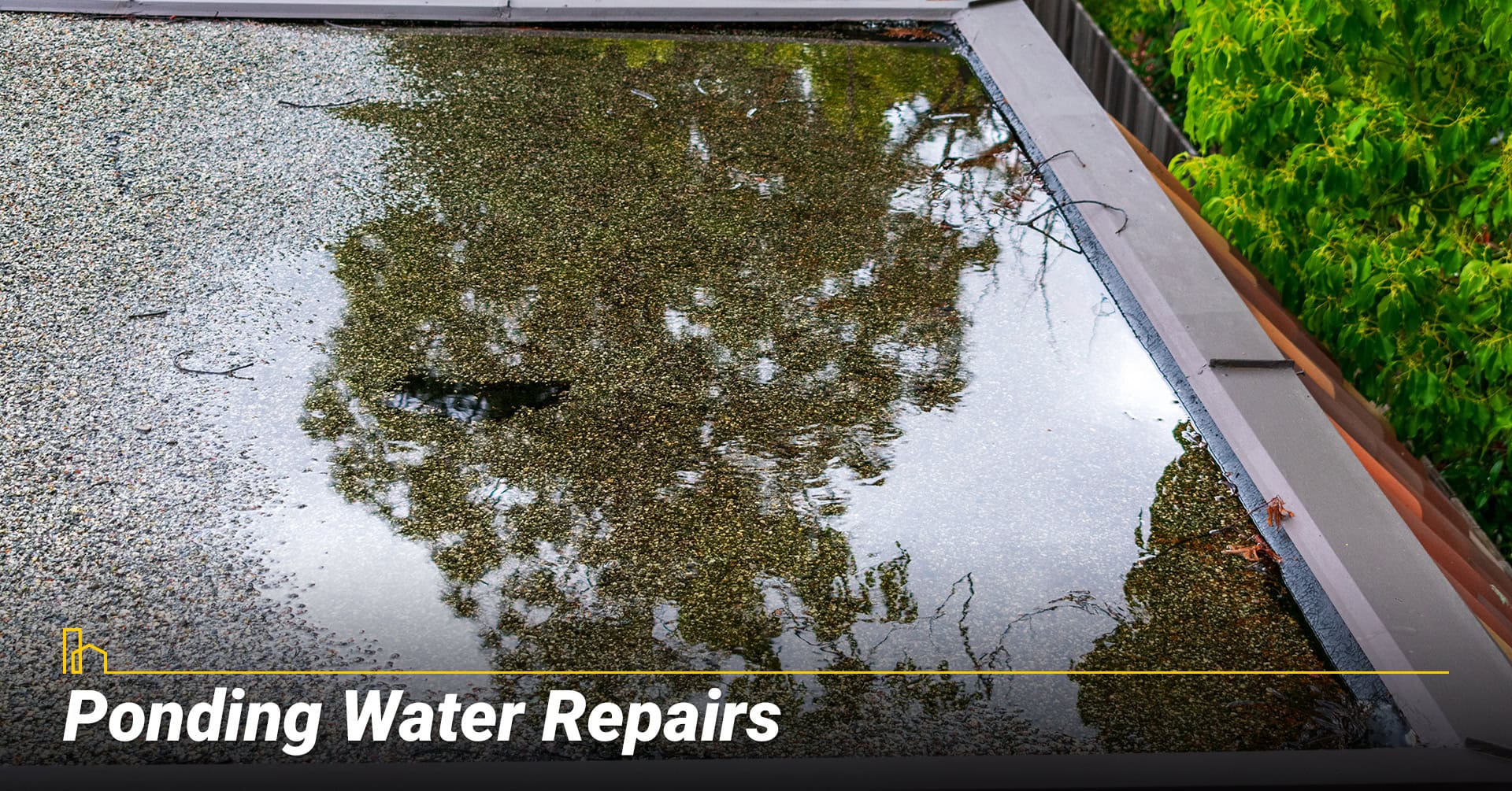 Ponding Water Repairs