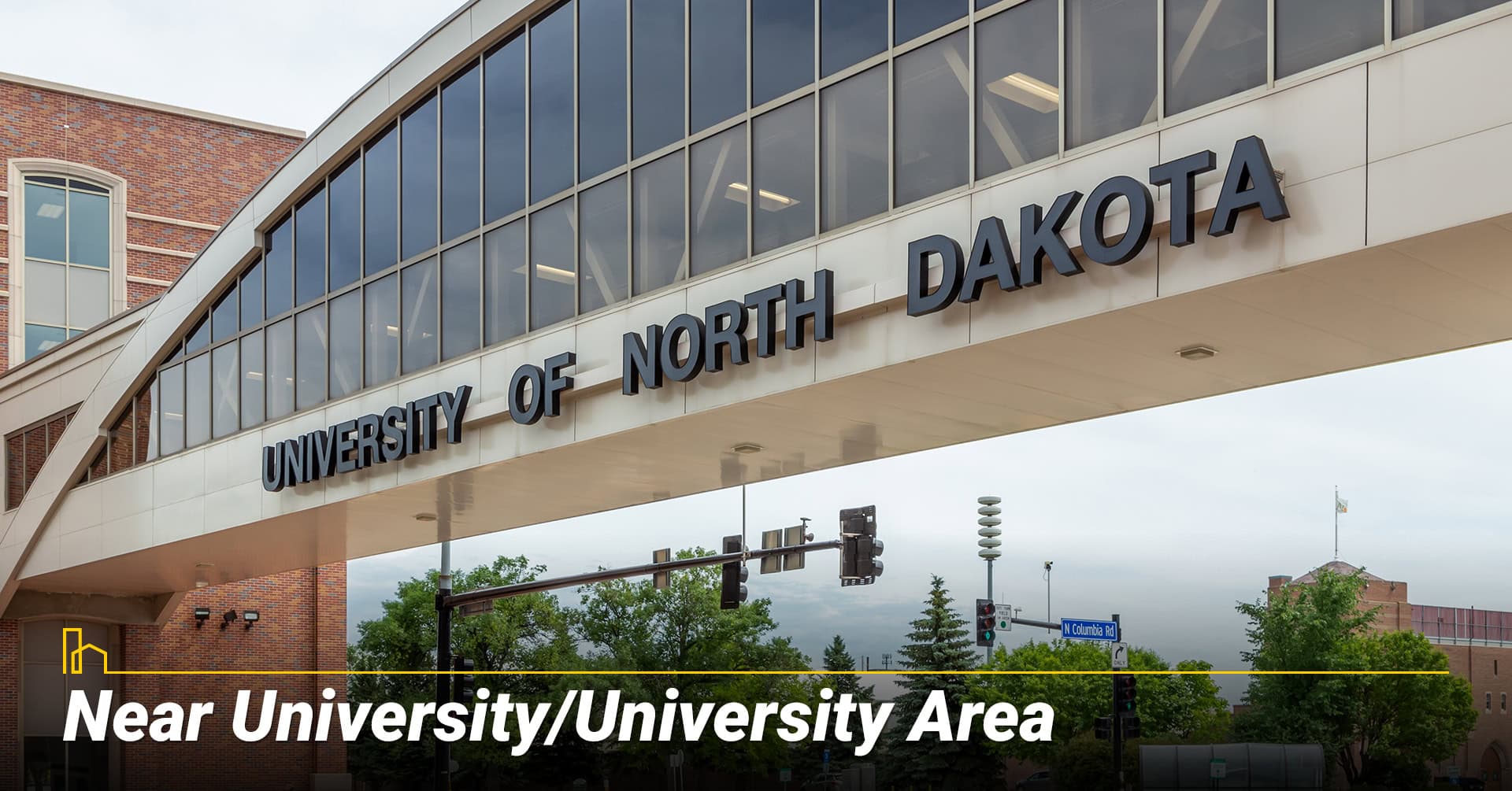 Near University/University Area