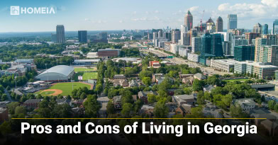 Pros and Cons of Living in Georgia