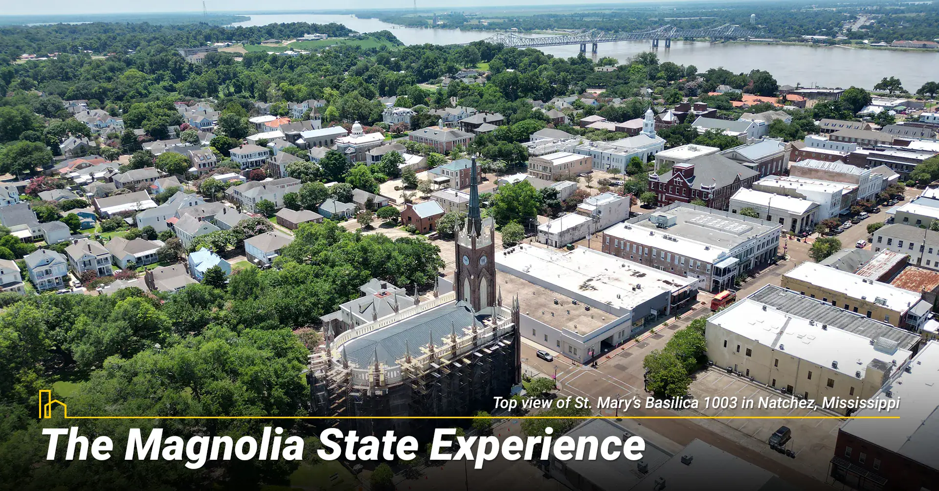 The Magnolia State Experience
