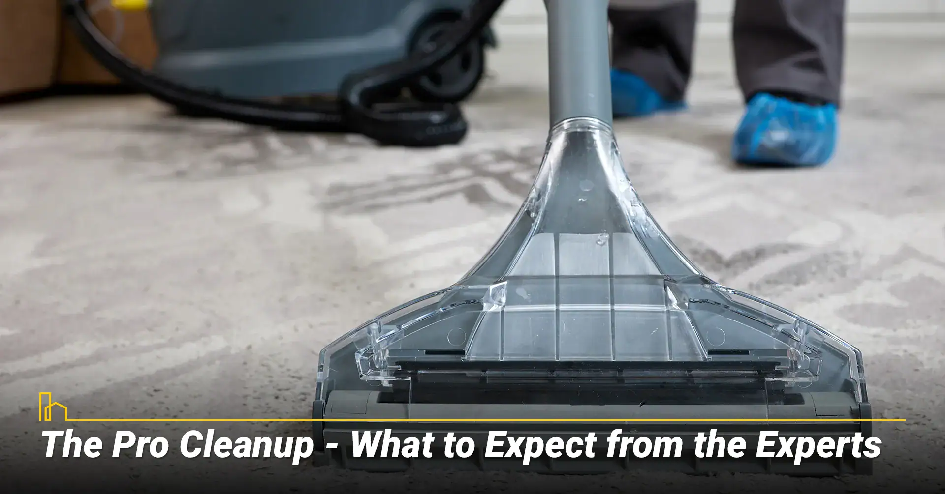 The Pro Cleanup - What to Expect from the Experts