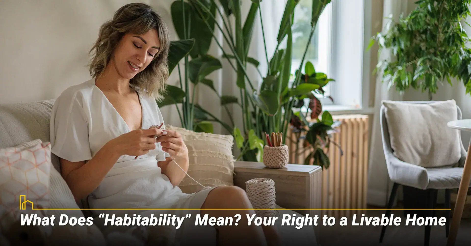 What Does “Habitability” Mean