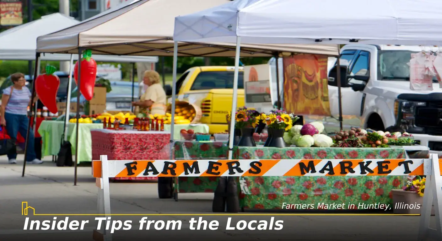 Insider Tips from an Illinois Local