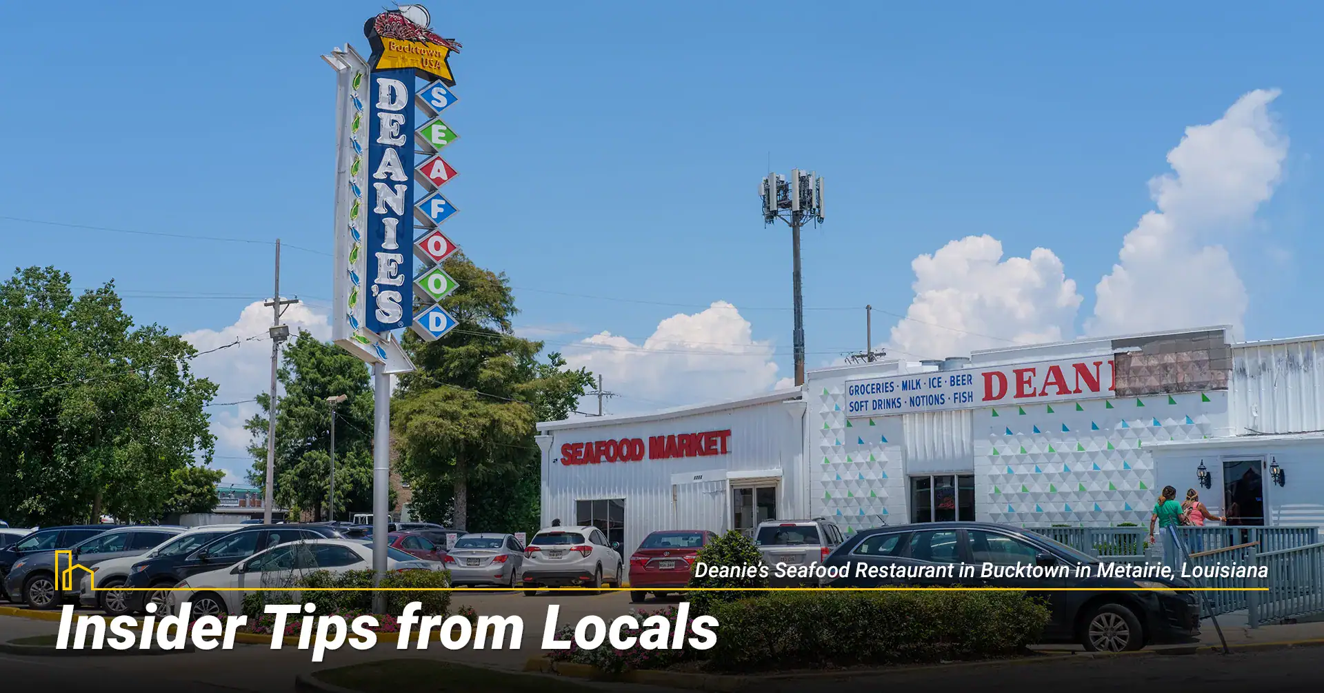 Insider Tips from Locals from Louisiana