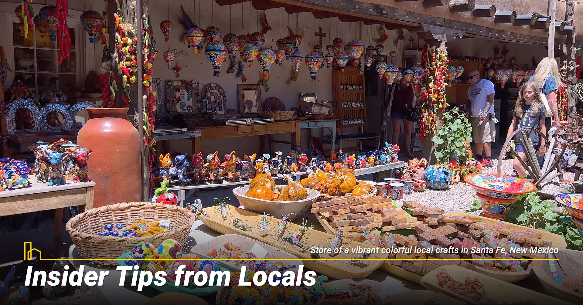 Insider Tips from NM Locals 